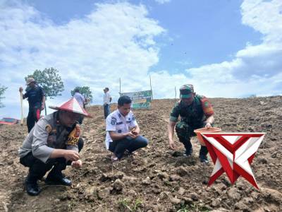 Kapolsek dan Forkopincam Melakukan Penanaman Jagung Hybrida