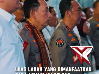 Penanaman jagung kwartal 1