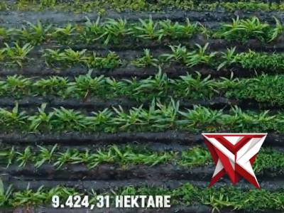 Kapolri Pimpin Tanam Raya Jagung Kuartal I 2026 di Ogan Ilir