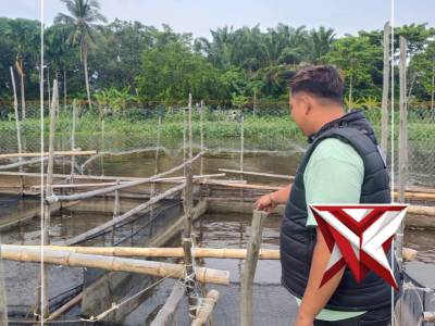 Pers Polsek Jejawi cek ketahanan Pangan ternak Ikan Patin di Desa Jejawi OKI