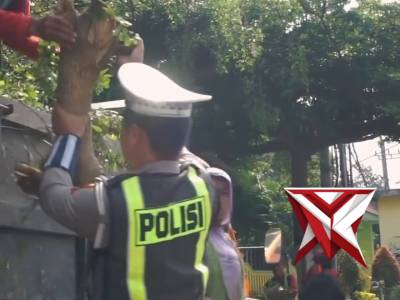 PERAMBASAN POHON DAERAH RAWAN LAKA LANTAS - PoliceTube