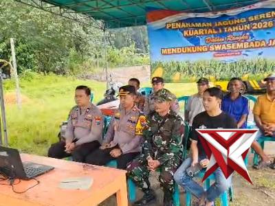 Penanaman Jagung Kuartal I 2026