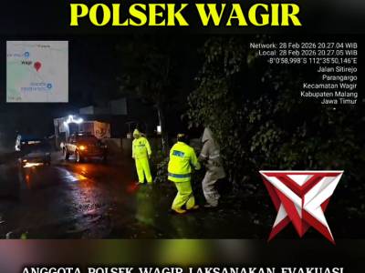 Evakuasi Pohon Tumbang