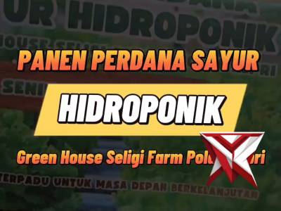 Panen perdana tanaman hidroponik di Green House Polda Kepri