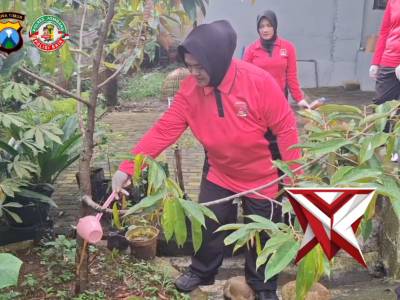 Panen dan pemanfaatan eco enzime