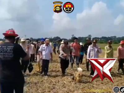 Polsek Rantau Alai Melaksanakan Penanaman Jagung Dalam Rangka Mendukung Ketahanan Pangan Pemerintah