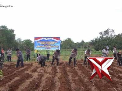 ZOOM MEETING PENANAMAN JAGUNG SERENTAK KUARTAL I TAHUN 2026