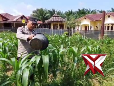 Kegiatan pesonil polsek pampangan