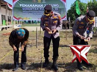 Penanaman Jagung Kuartal III