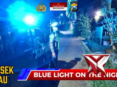 BLUE LIGHT ON THE NIGHT POLSEK DAU