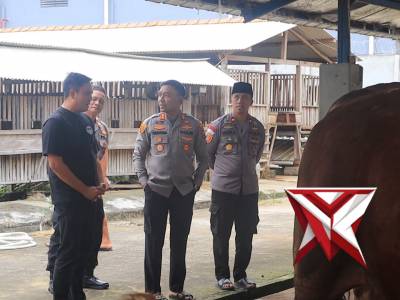 pengecekan hewan ternak guna memastikan kondisi kesehatan hewan serta mengantisipasi penyebaran