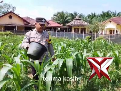 Kegiatan pesonil polsek pampangan