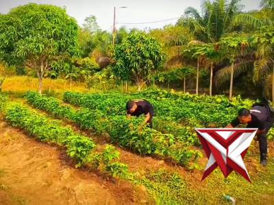 Personel Kompi 2 Batalyon C Pelopor Satbrimob Polda Sumsel Melaksanakan Giat Korve di P2L