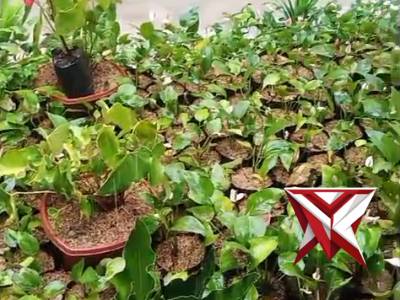 Pantau keadaan sekitar saat hujan