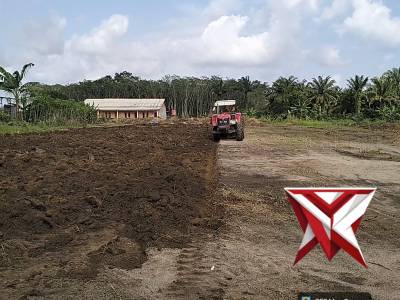 Persiapan lahan tanam jagung