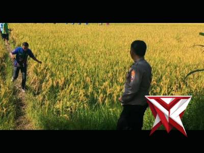 Pengecekkan rutin Pekarangan Pangan Bergizi