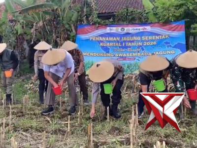 Zoom meeting dan penanaman jagung serentak kuartal I thn 2026