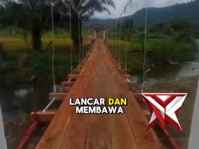 Polsek pulau beringin