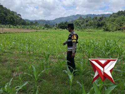 BHABINKAMTIBMAS POLSEK BANDING AGUNG