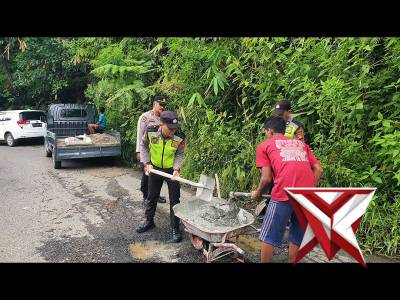 Polsek pulau beringin