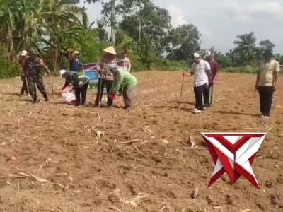 POLSEK BMT: MELAKSANAKAN KEGIATAN TANAM JAGUNG SERENTAK KUARTAL I TAHUN 2026 DI DESA TANJUNG MAS - PoliceTube