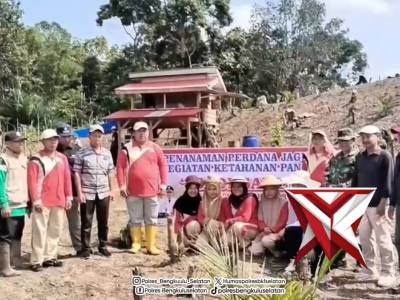 Lomba Penanaman Jagung Sadesahe Desa Batu Kuning Kec.Ulu Manna Kab.Bengkulu Selatan