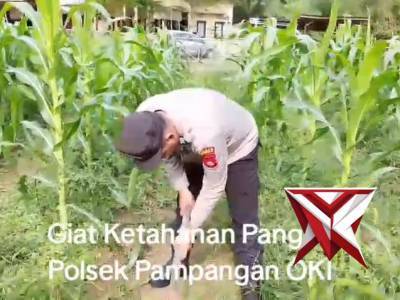 KETAHANAN PANGAN POLSEK PAMPANGAN
