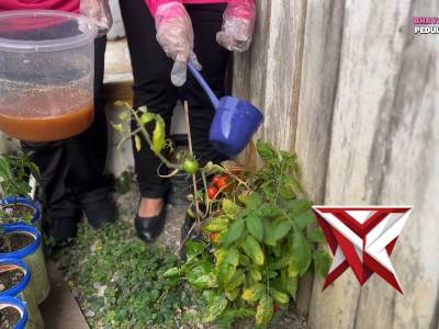 Bhayangkari Tolikara Panen Eco - Enzym, Hasil Fermentasi Sampah Yang Berfungsi Sebagai Pupuk Organik