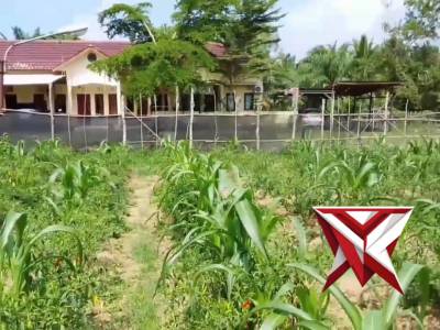 Giat Ketahanan Pangan Polsek Pampangan Polres OKI