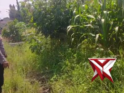 POLSEK BALONGPANGGANG: KETAHANAN PANGAN - PoliceTube