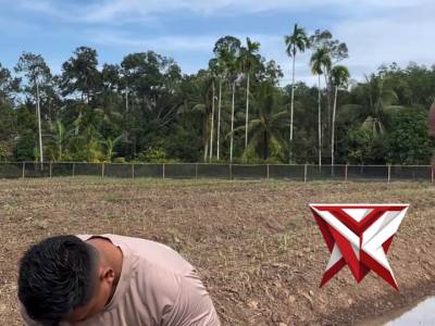 Pemupukan jagung dalam rangka mendukung program pemerintah ketahanan pangan