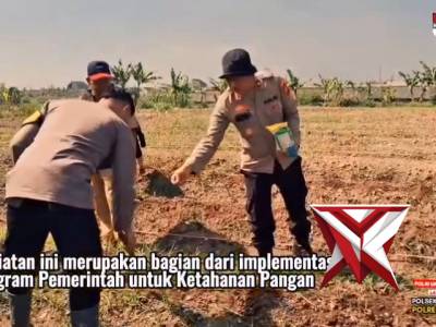 Polsek Bojongsoang Polresta Bandung melaksanakan kegiatan penanaman jagung di lahan non LBS