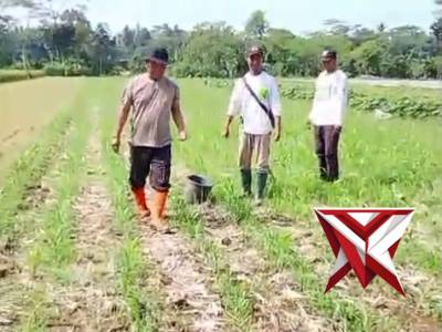 Ketahanan pangan - PoliceTube