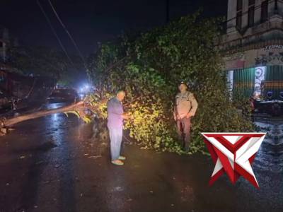 Mendatangi TKP pohon tumbang di pasar kepanjen area selatan Menyebabkan kabel listrik jatuh