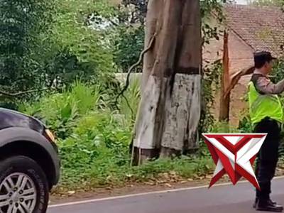 Gerak cepat Polsek Sukomoro dalam menangani pohon tumbang