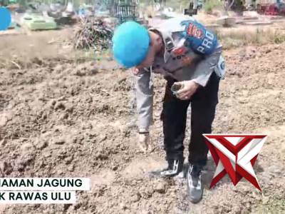 Giat penanaman jagung polsek Rawas Ulu