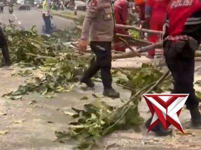 Kaposlek Soreang memimpin kegiatan evakuasi pohon tumbang yang menghalangi jalur lalu lintas