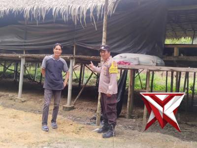 Pers Polsek Jejawi cek ketahanan Pangan perkarangan ternak ayam potong di Desa Talang Cempedak OKI