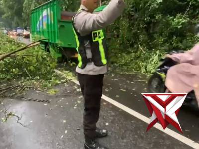 Polsek Pagak mendatangi TKP Pohon tumbang di gunung geger sumberejo - PoliceTube