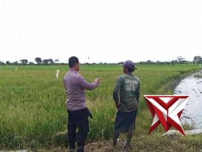 POLSEK BALONGPANGGANG DUKUNG KETAHANAN PANGAN - PoliceTube