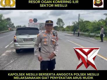 KAPOLSEK MESUJI POLRES OKI MEMBERIKAN HIMBAUAN KEPADA PARA PEMUDIK DAN PENYEKATAN TERHADAP TRUCK