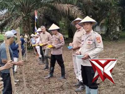 Penanaman Jagung kuartal 1 Tahun 2026  di lahan PT. Lonsum Riam Indah Estate Desa Mandi Angin