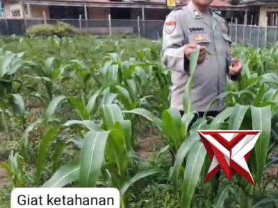 Giat ketahanan pangan