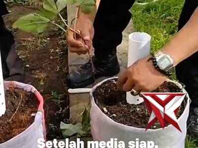 Pemanfaatan Sampah Organik dengan Metode Biopori Polybag untuk Ketahanan Pangan - PoliceTube