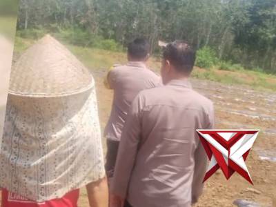 Cek Ketahanan Pangan Perkarangan milik Warga - PoliceTube