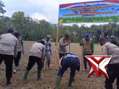 KEGIATAN PENANAMAN JAGUNG SERENTAK KUARTAL I TAHUN 2026 DALAM RANGKA MENDUKUNG SWASEMBADA JAGUNG