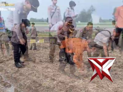 Tanam Raya Jagung Kuartal 1 Ta 2026 Polres Probolinggo