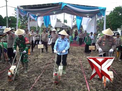 Polres OKI bersama jajaran Forkopimda OKI melaksanakan kegiatan penanaman jagung serentak Kuartal 1