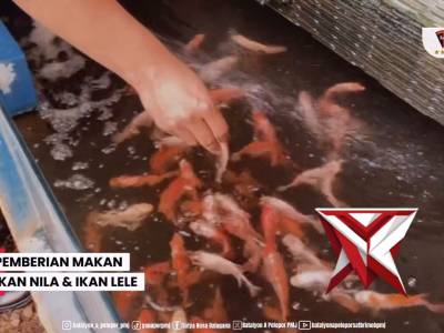 Brimob Polda Metro jaya melaksanakan kegiatan perawatan lahan ketahanan pangan di lahan terbatas