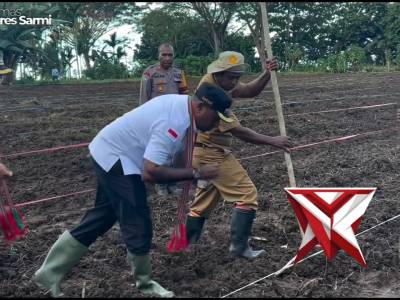 Penanaman Jagung Serentak di Lahan Perhutanan Sosial dalam rangka Mendukung Swasembada Pangan 2025